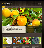 Web Hosting Web Design Template 39281