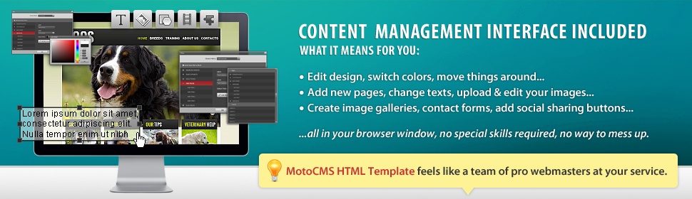 Projektowanie i tworzenie stron www MotoCMS HTML5