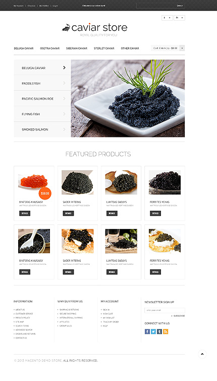 Magento Main Page  preview