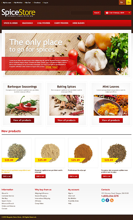 Magento Main Page  preview