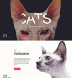 Bootstrap Template #58052