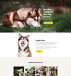 Moto CMS 3 Templates template 65296 - Buy this design now for only $159