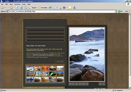 HTML HOMEPAGE SCREENSHOT