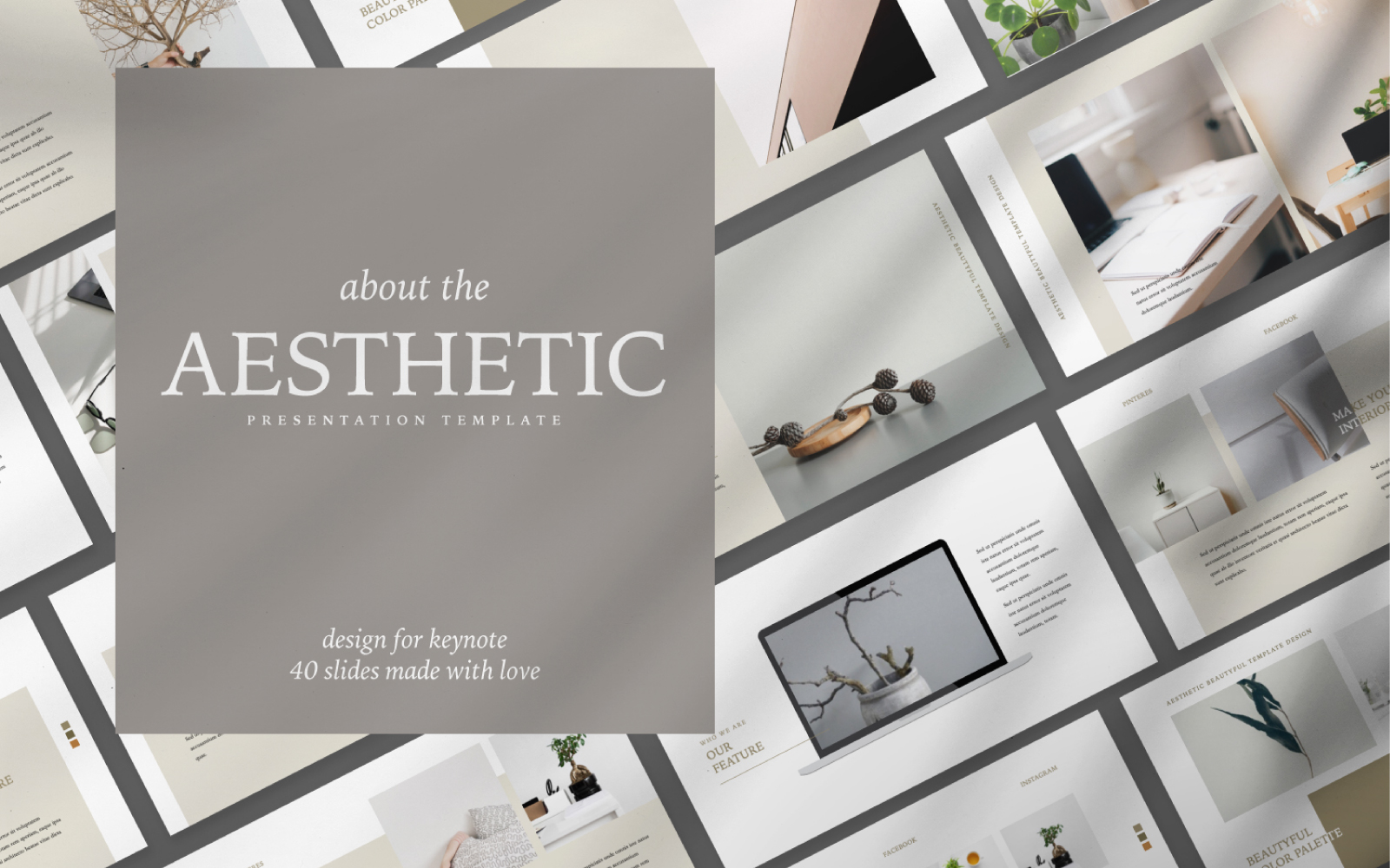 Aesthetic Presentation PowerPoint template for $18