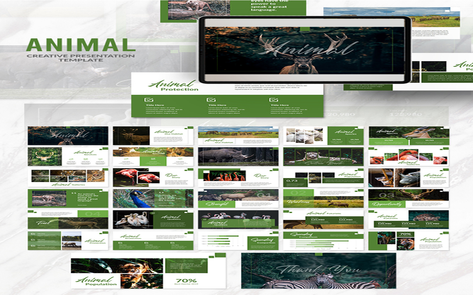 Animal Presentation PowerPoint template