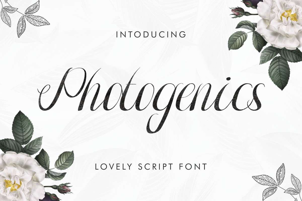 Fonts