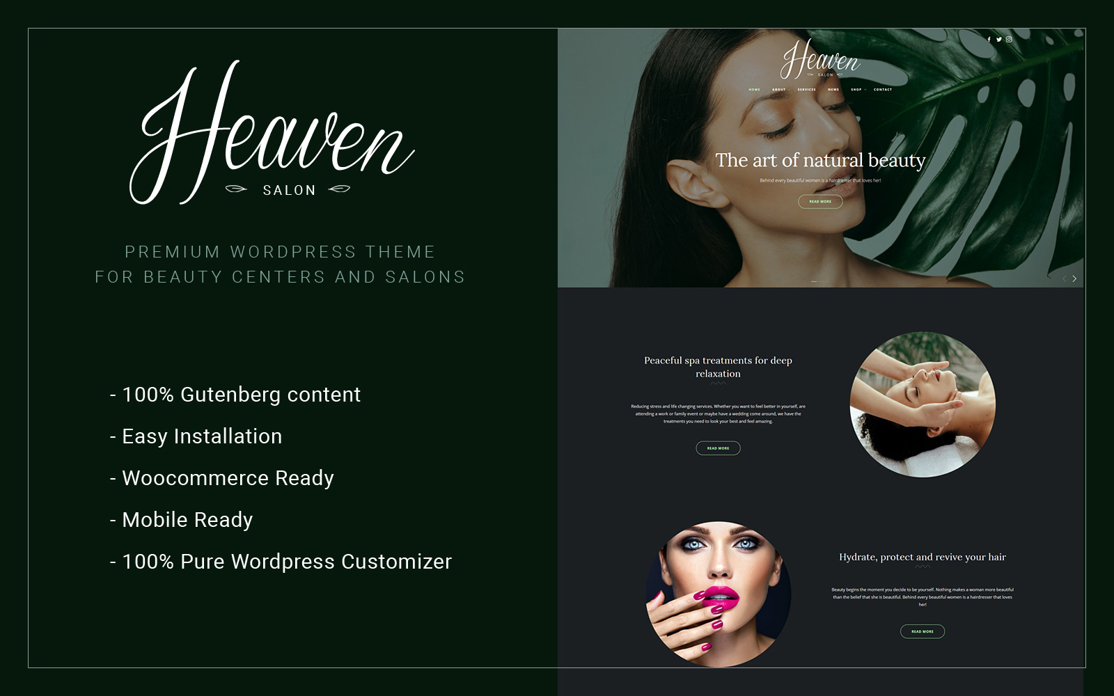 WordPress Themes