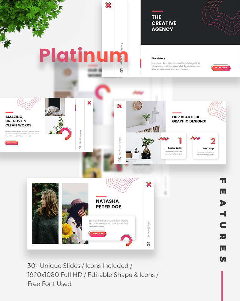 Platinum Creative PowerPoint template