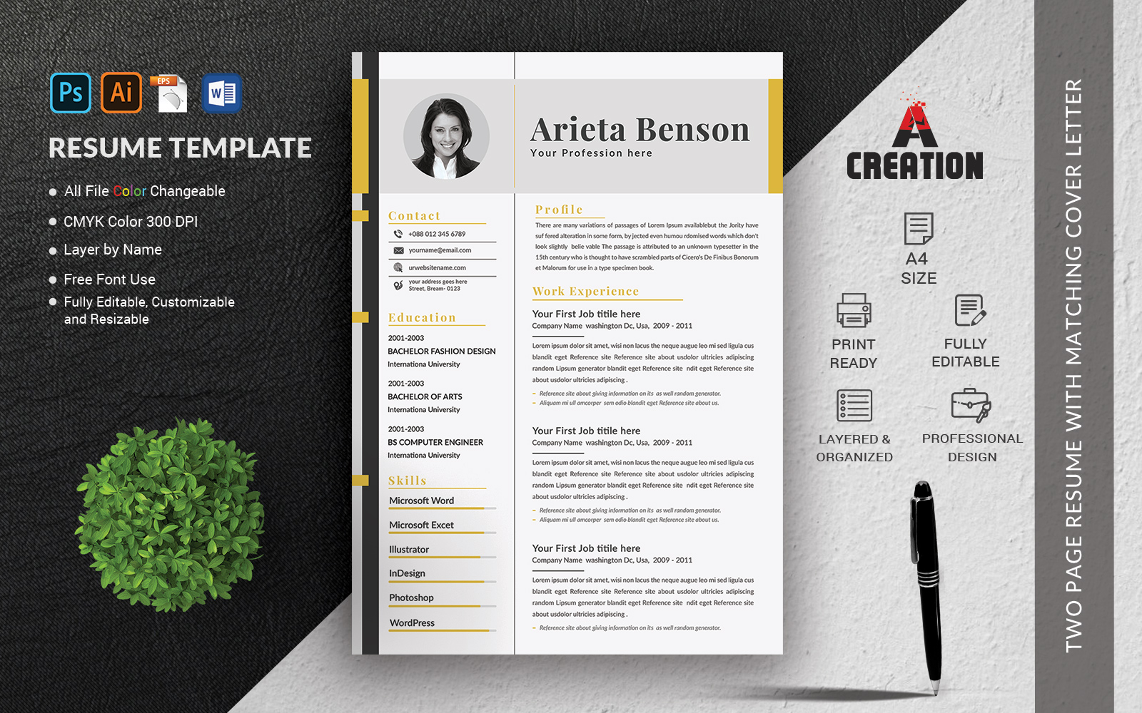 Resume Templates