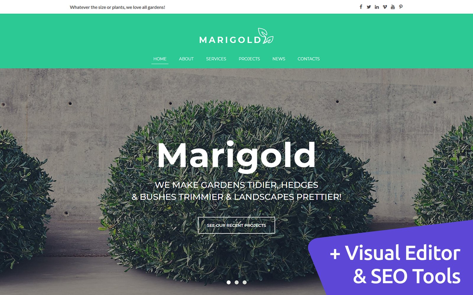 Marigold - Landscaping Services Moto CMS 3 Template