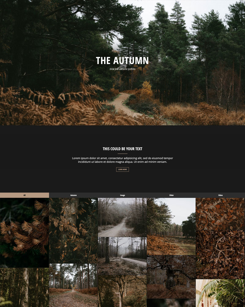 Website Templates