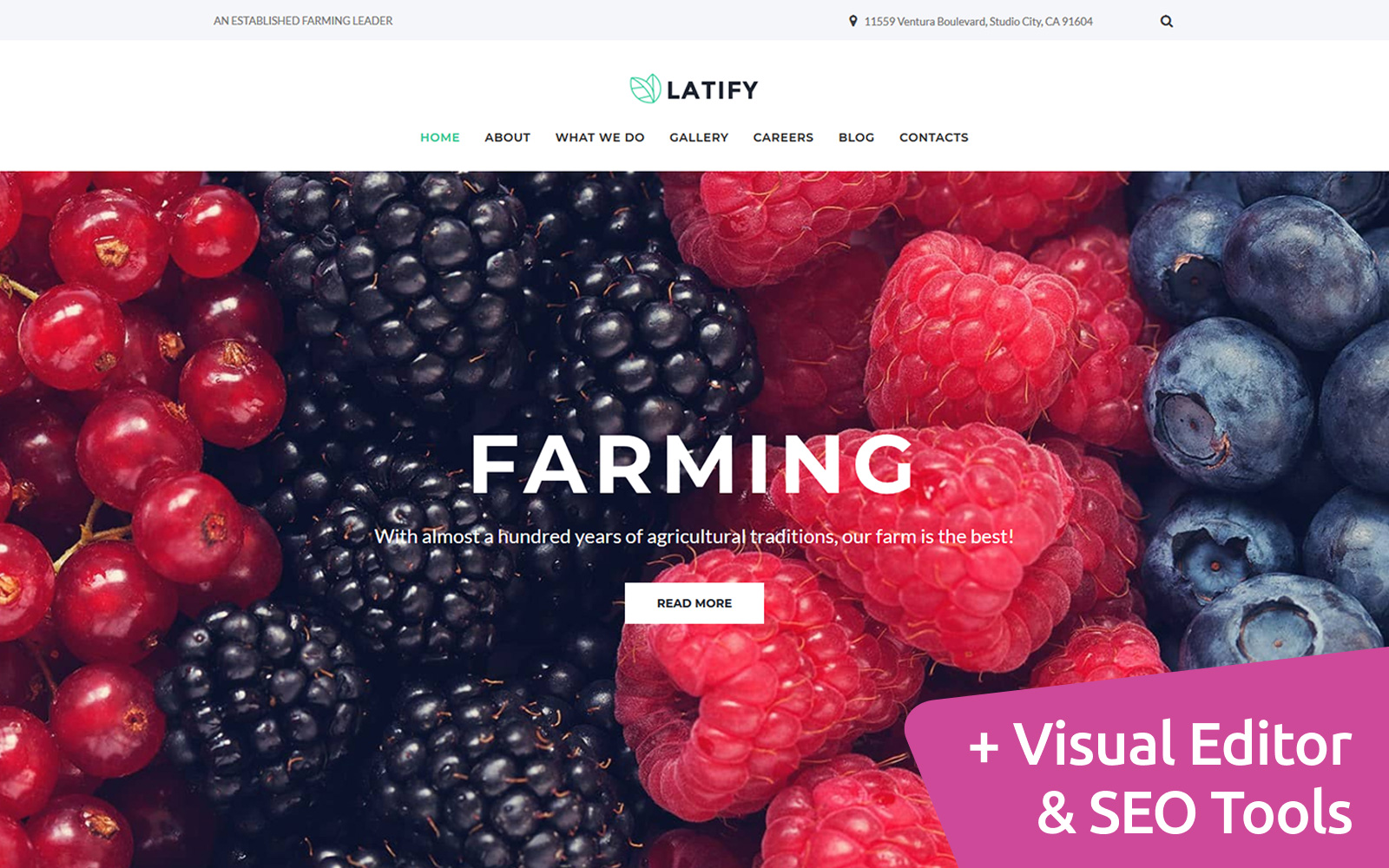 Latify - Private Farm Moto CMS 3 Template