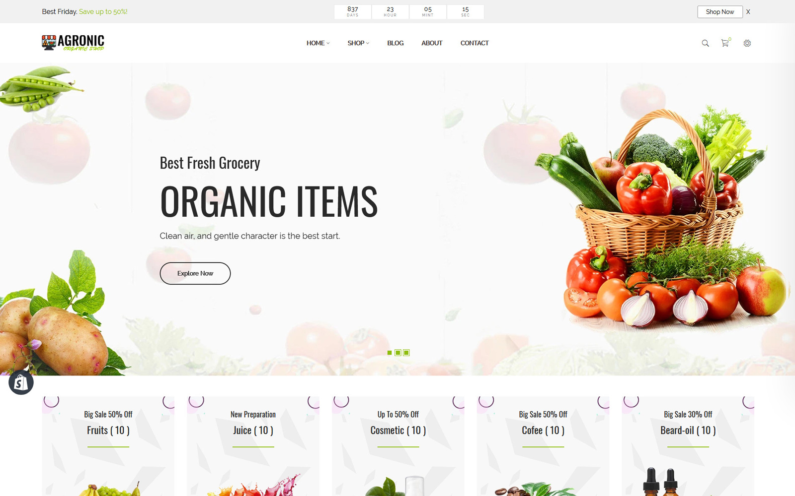 Shopify Themes