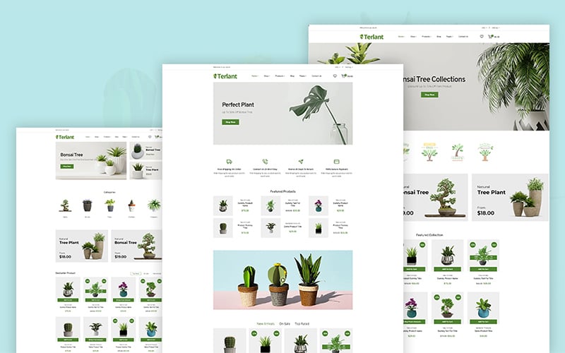 Shopify Themes