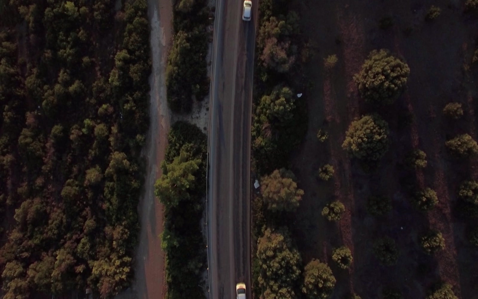 Stock Video