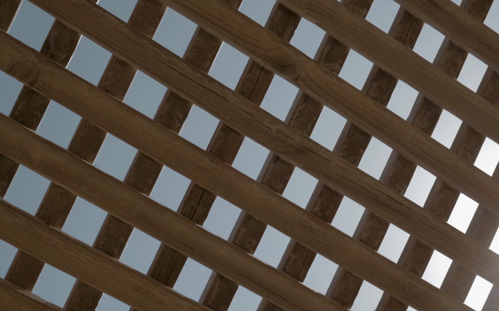 Stock Video