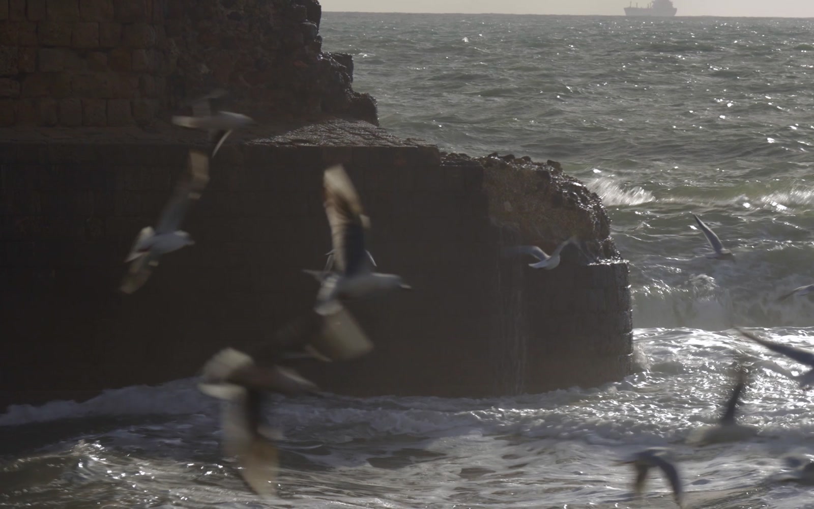 Stock Video
