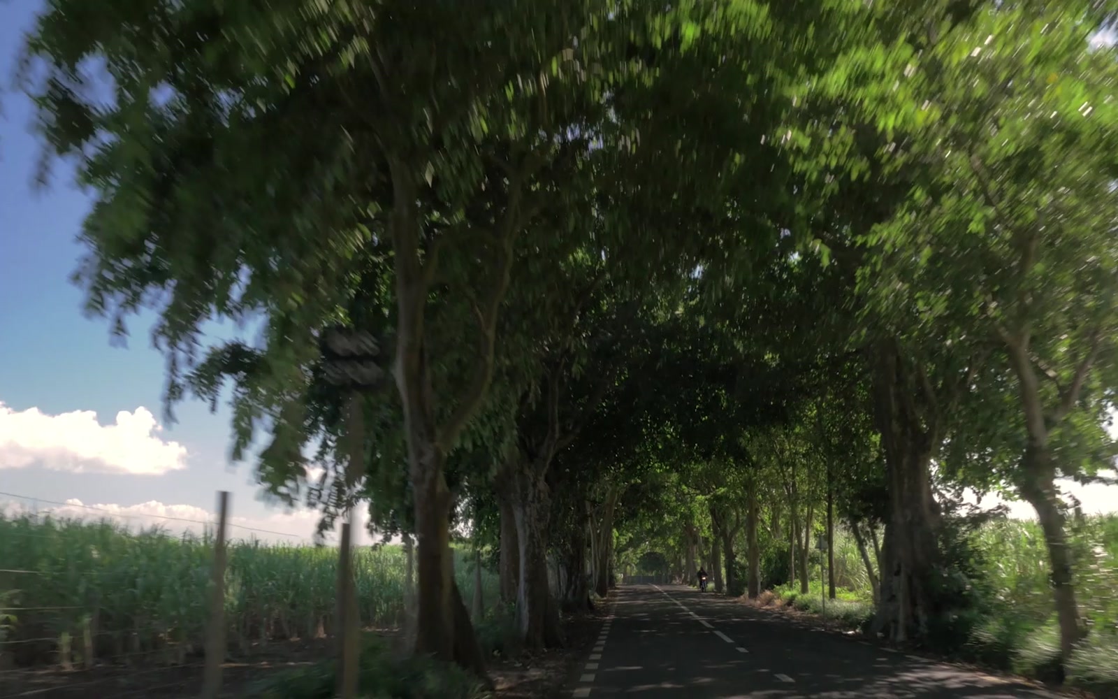 Stock Video