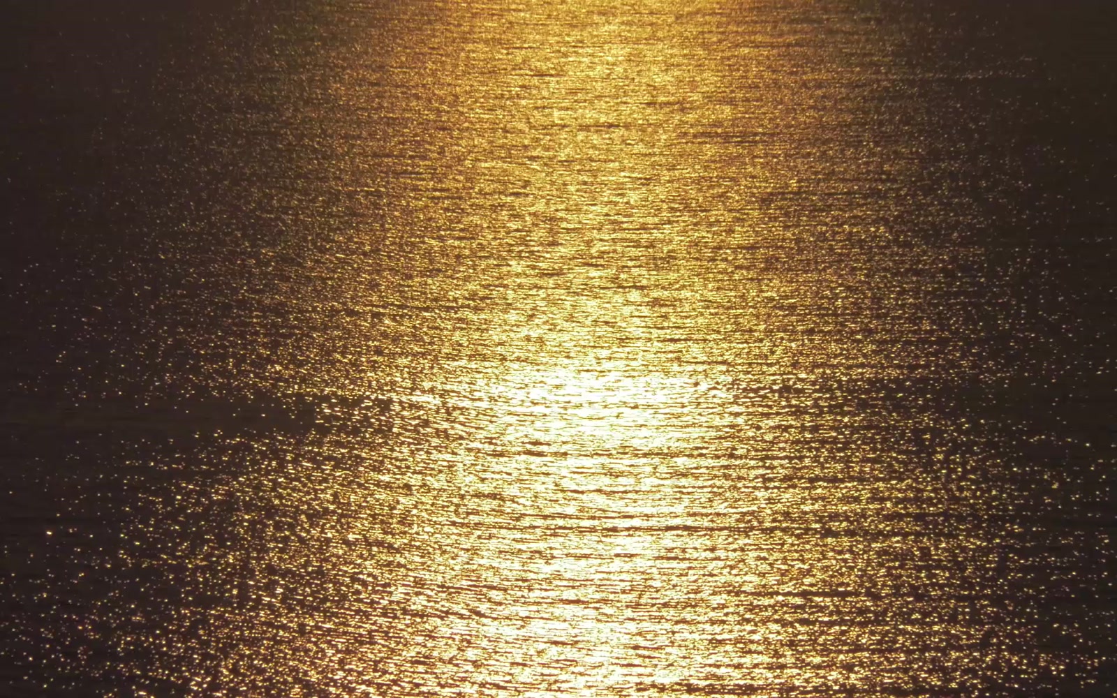 Stock Video