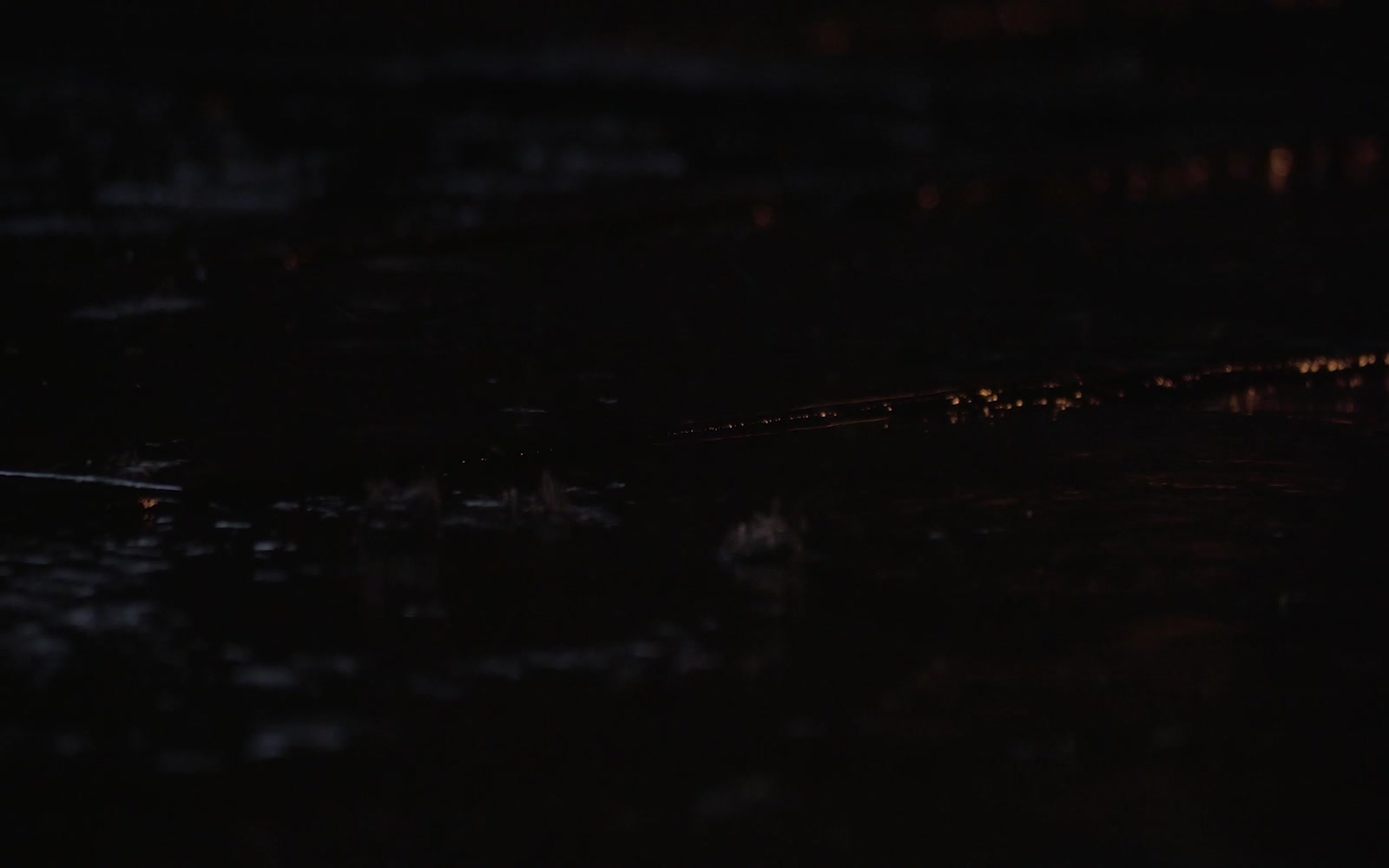 Stock Video