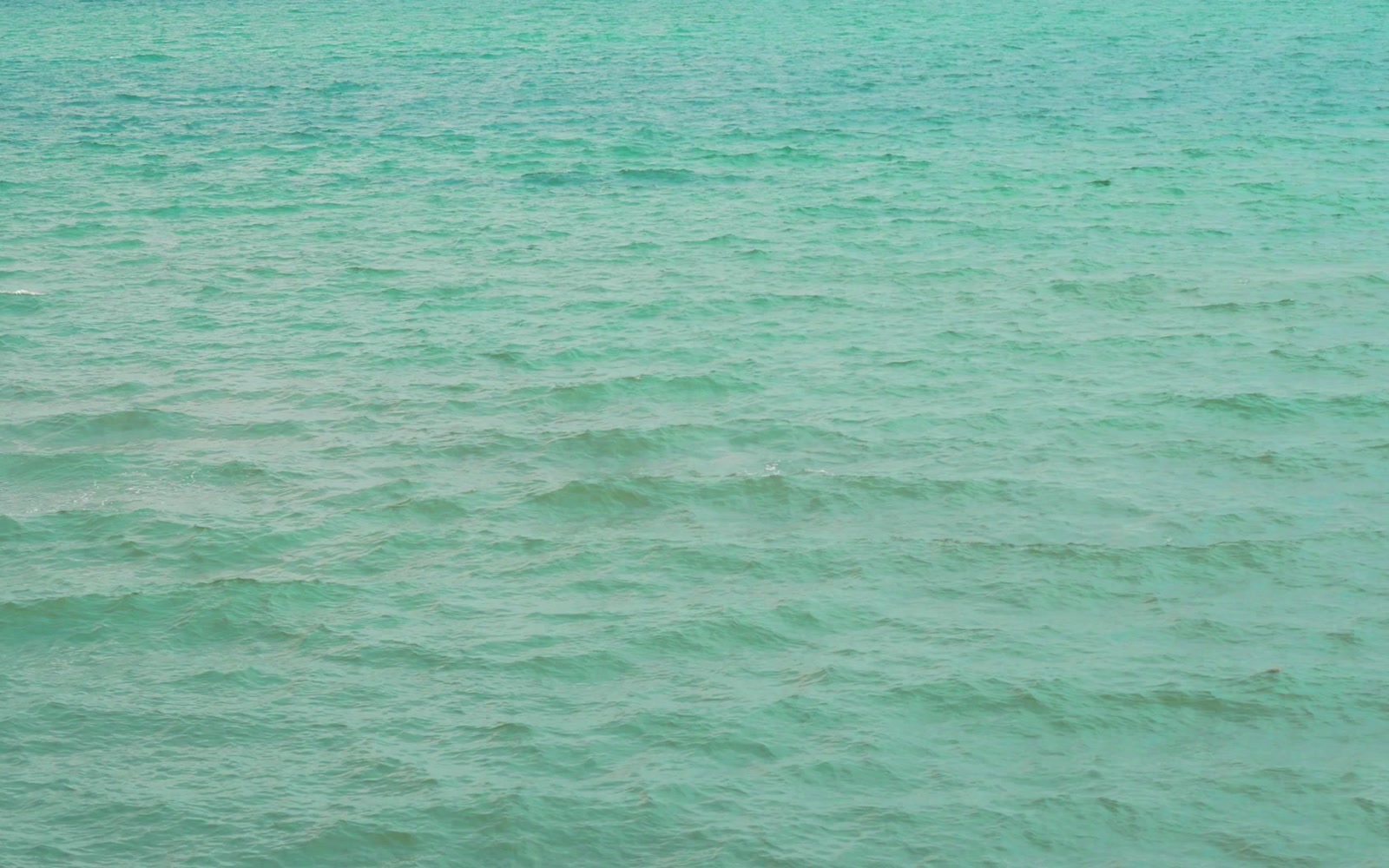 Stock Video