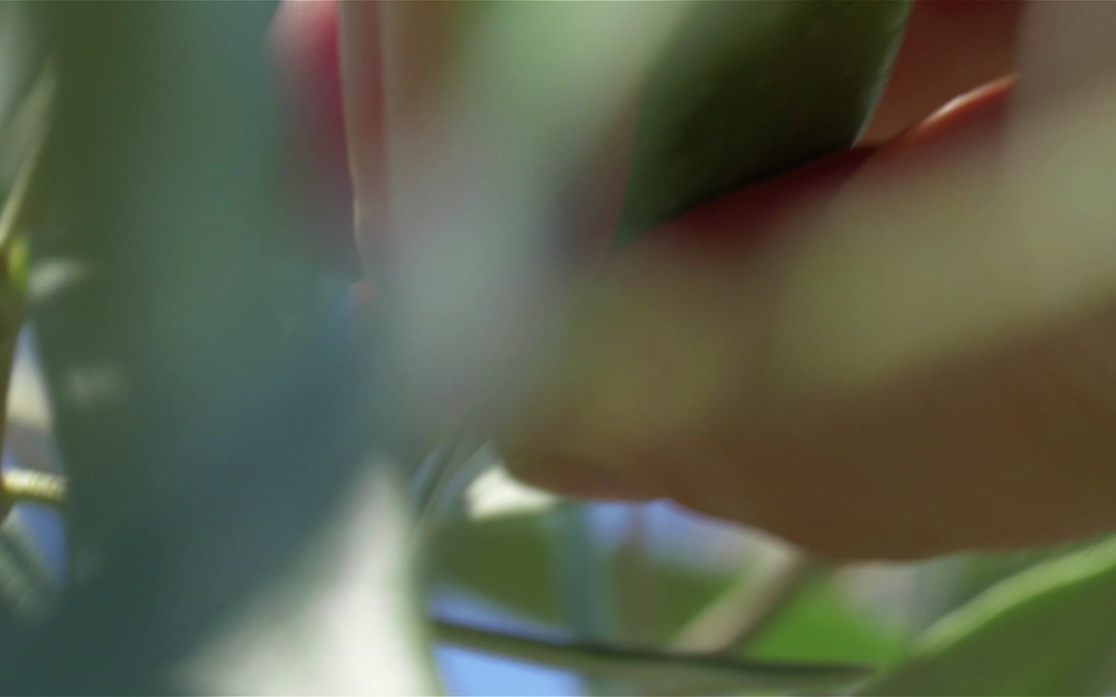 Stock Video