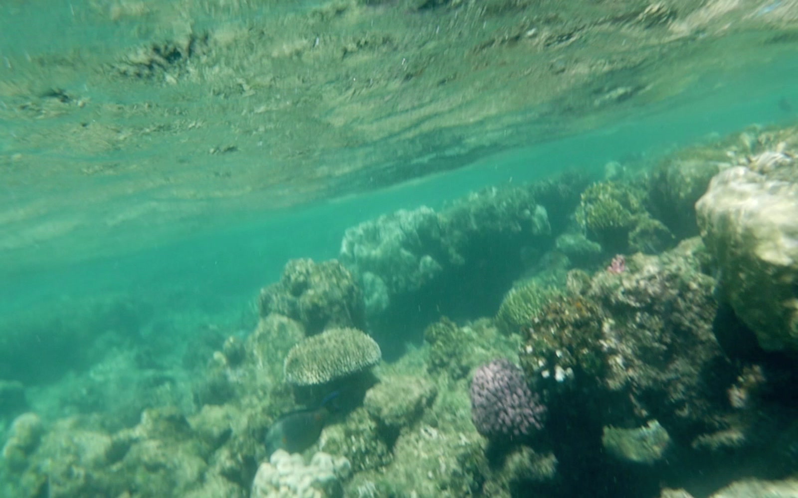 Stock Video