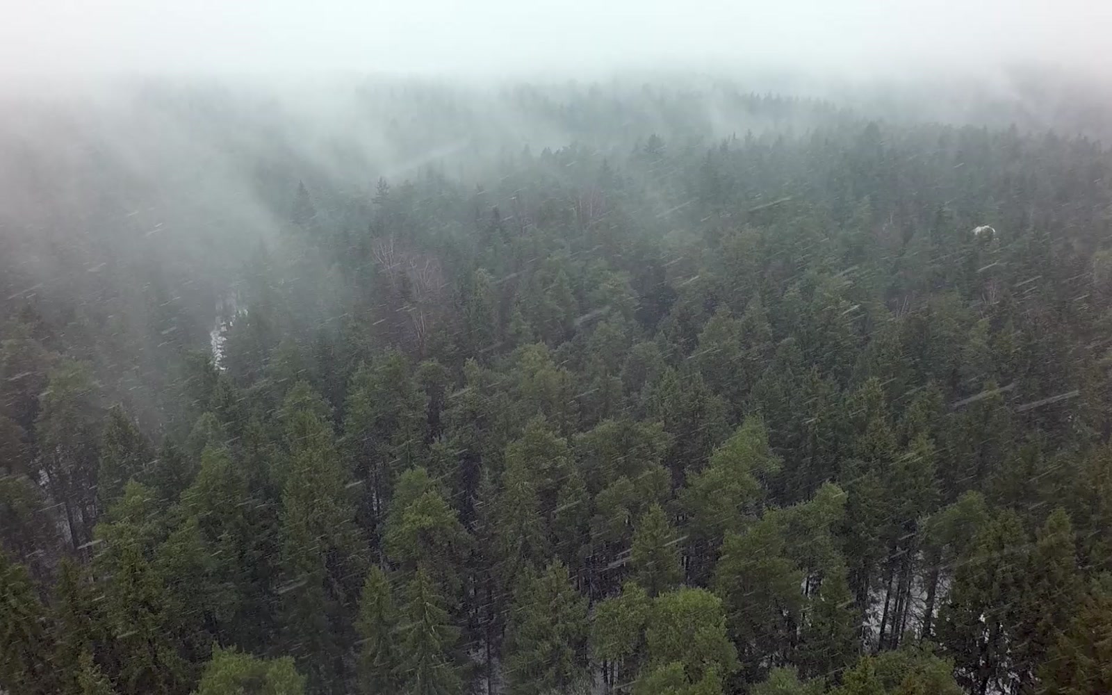 Stock Video