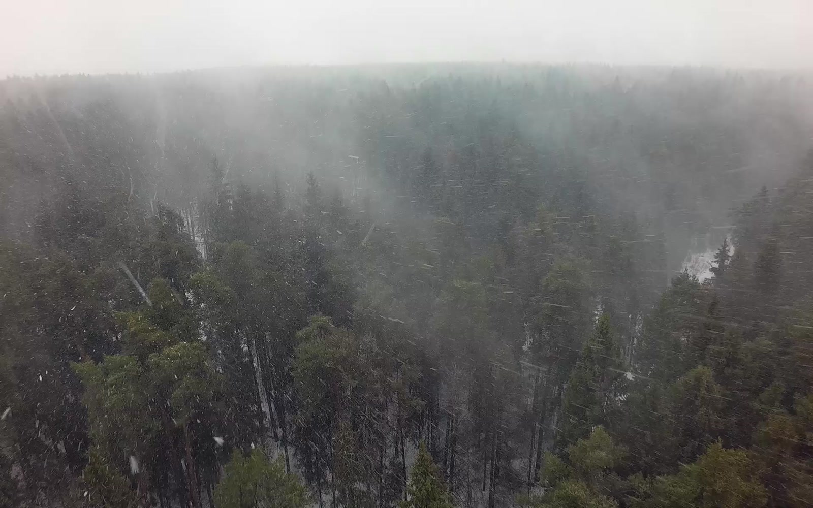 Stock Video