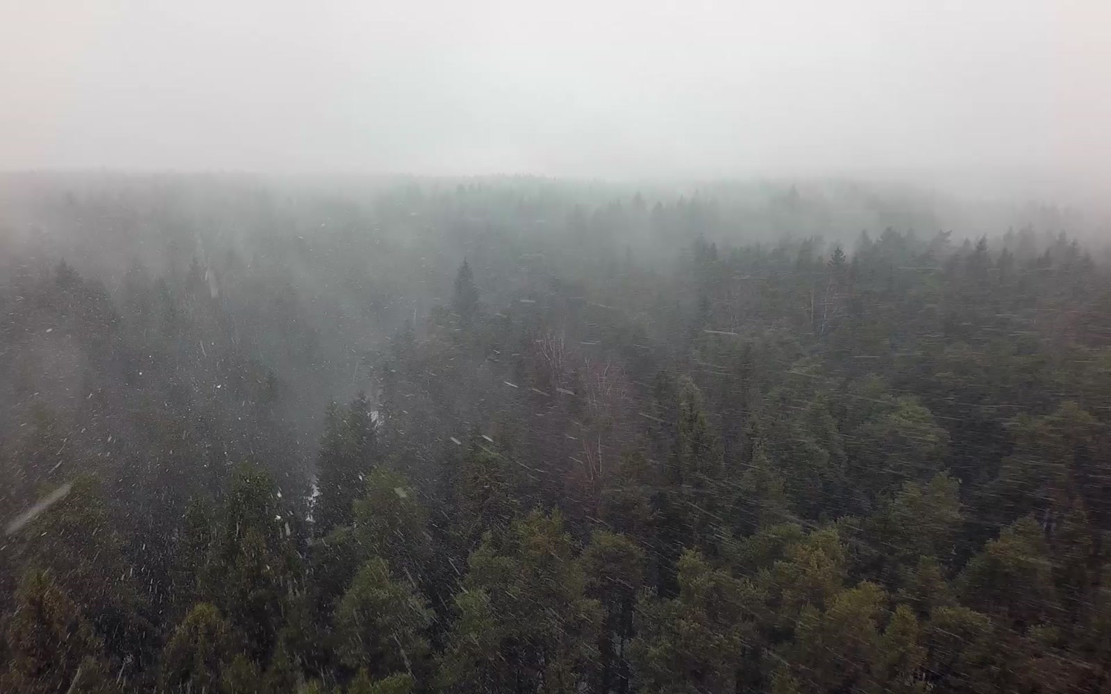 Stock Video