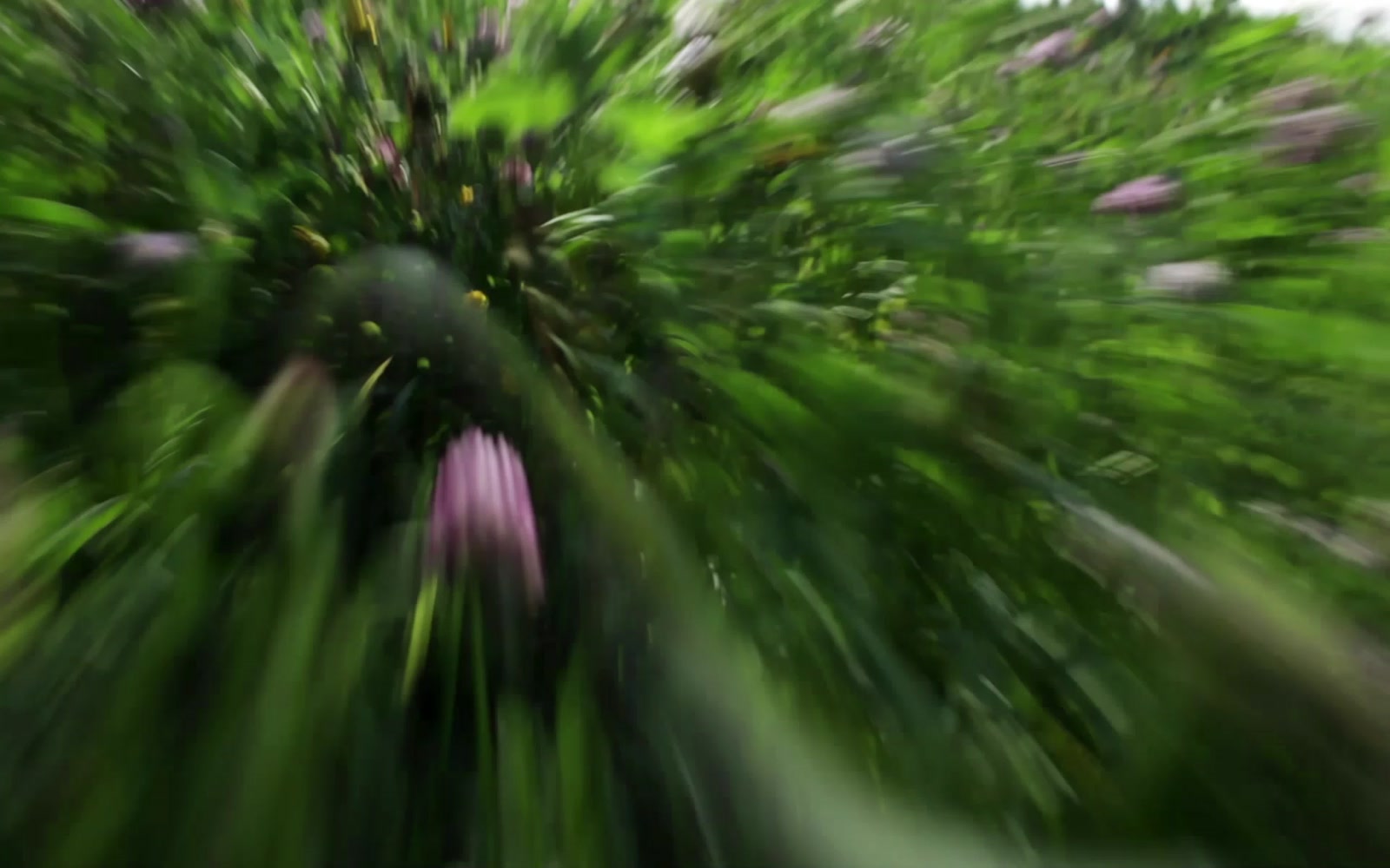 Stock Video