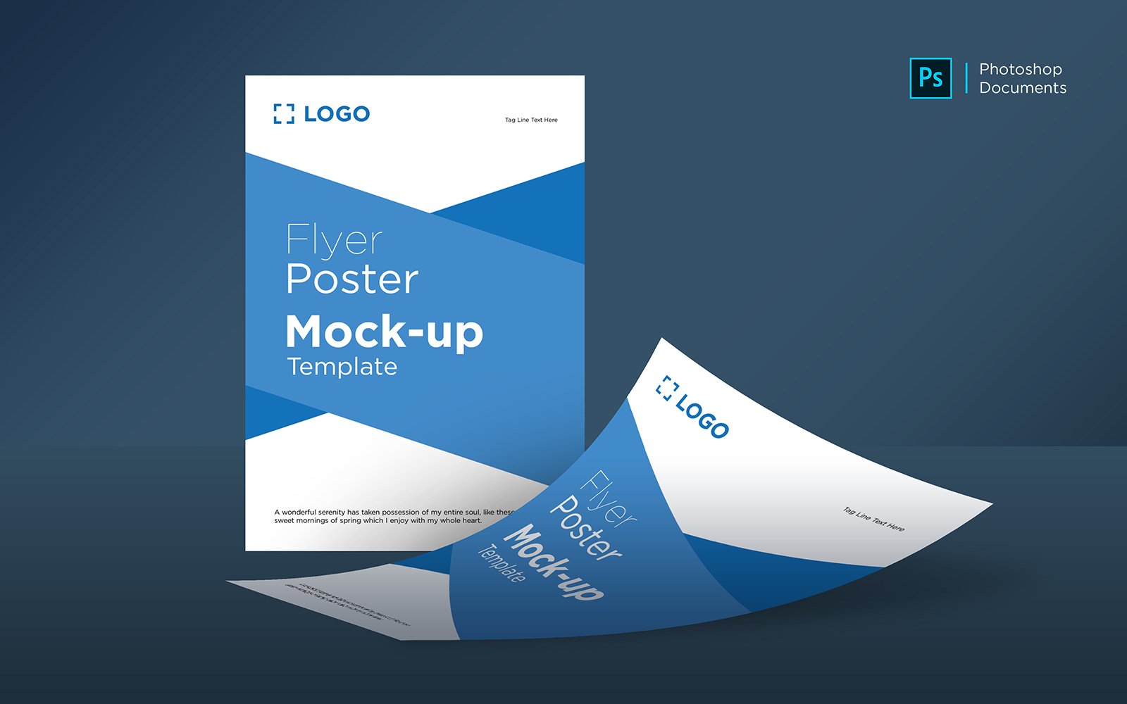 Product Mockups