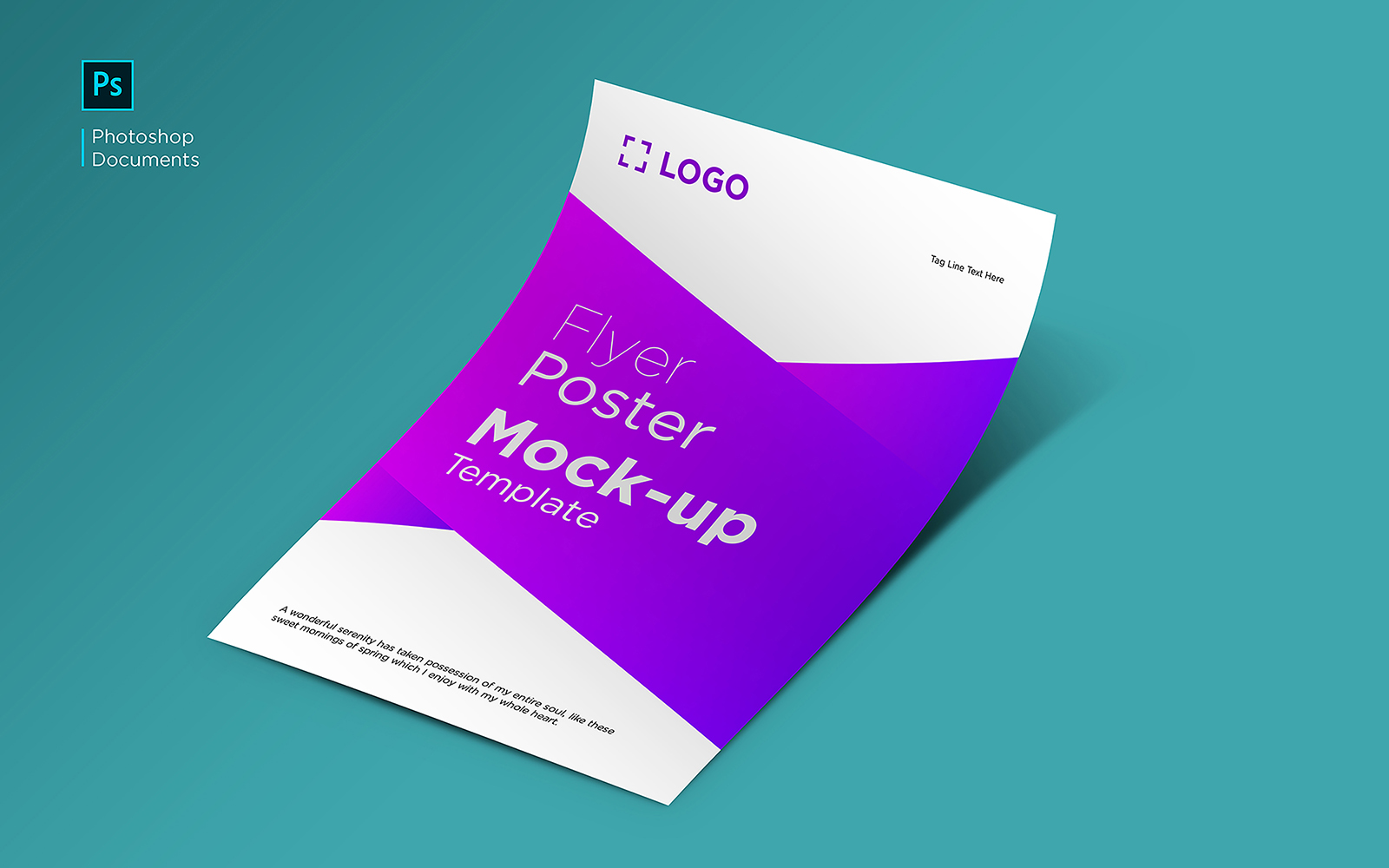 Product Mockups