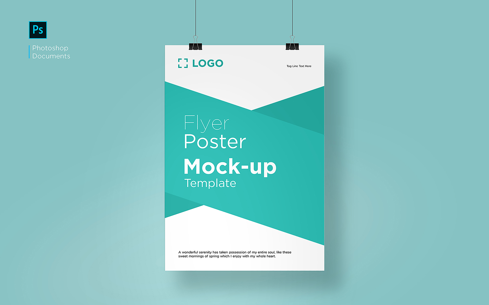 Product Mockups