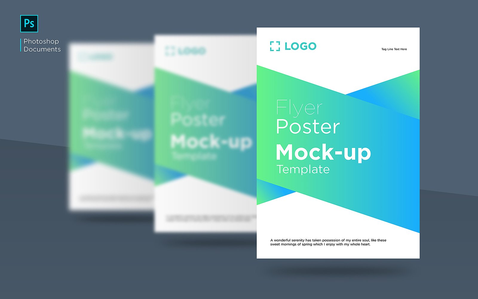 Product Mockups