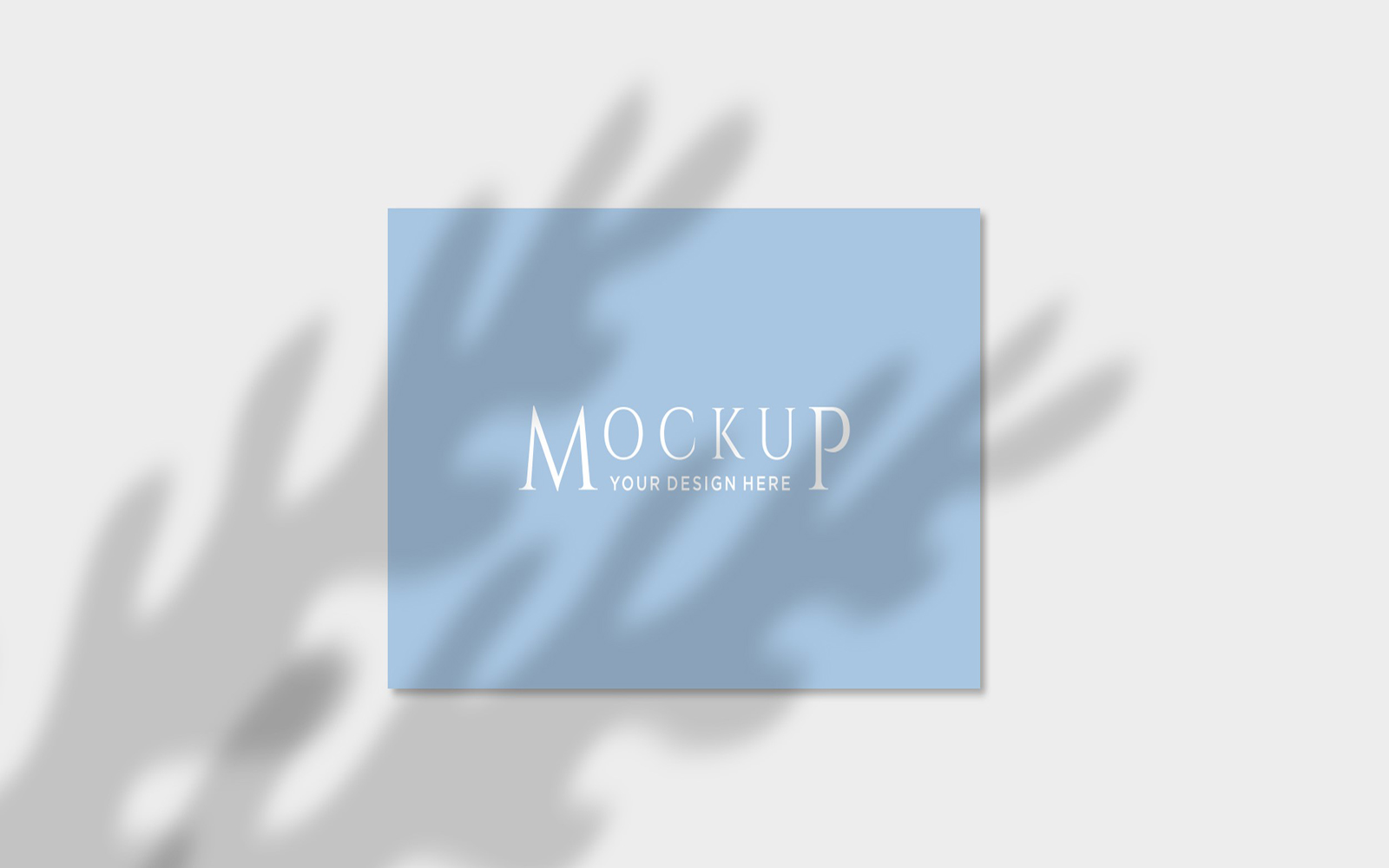 Product Mockups