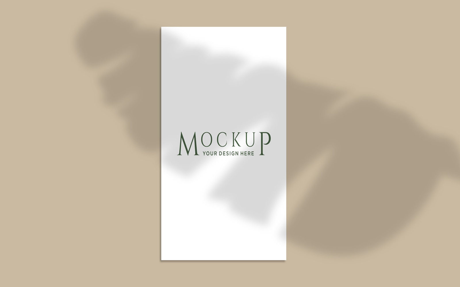 Product Mockups