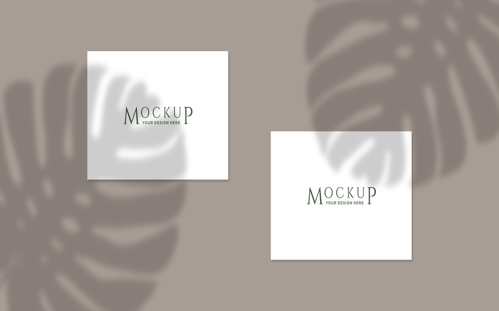 Product Mockups