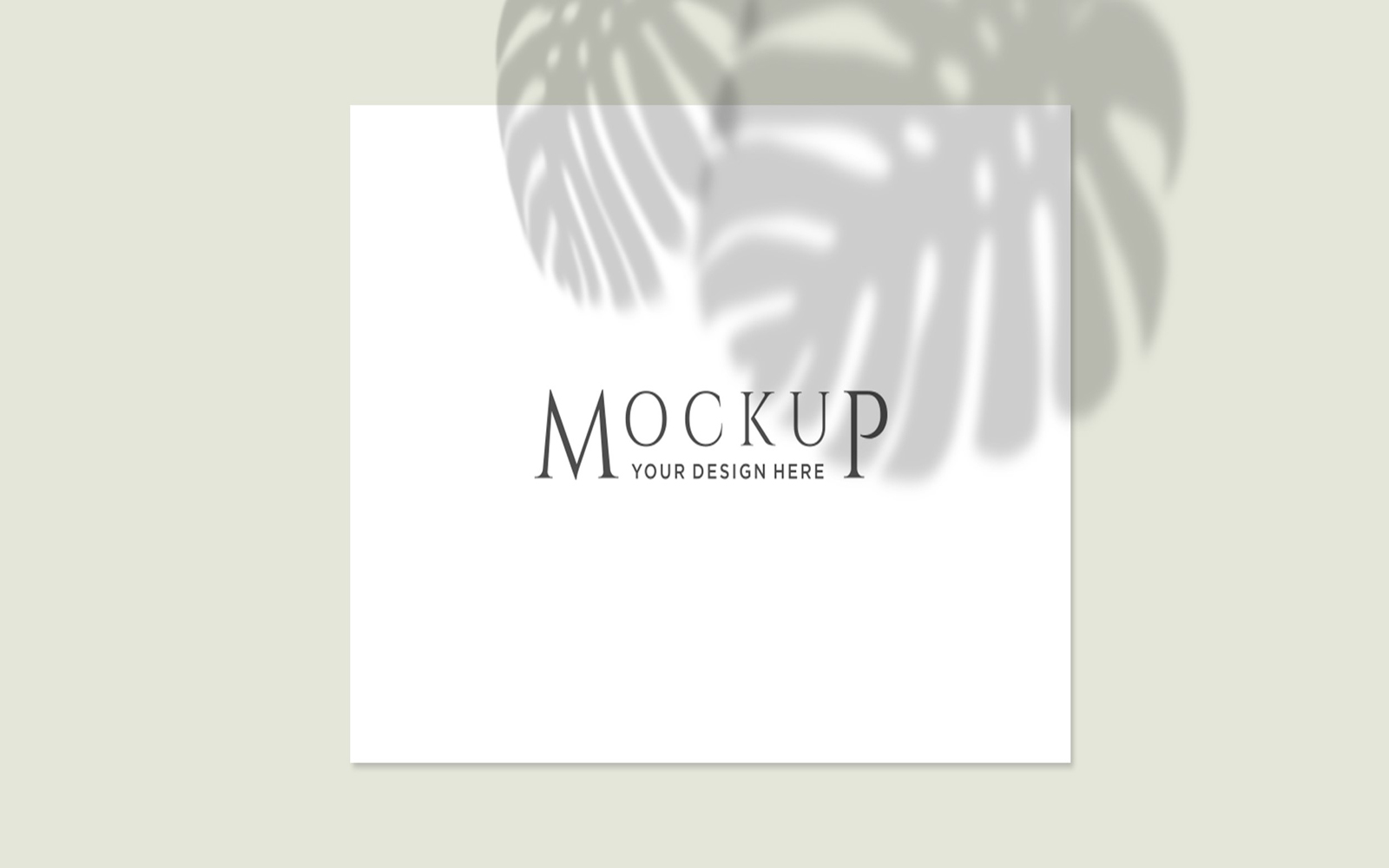 Product Mockups