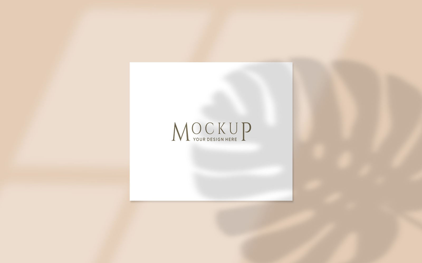 Product Mockups