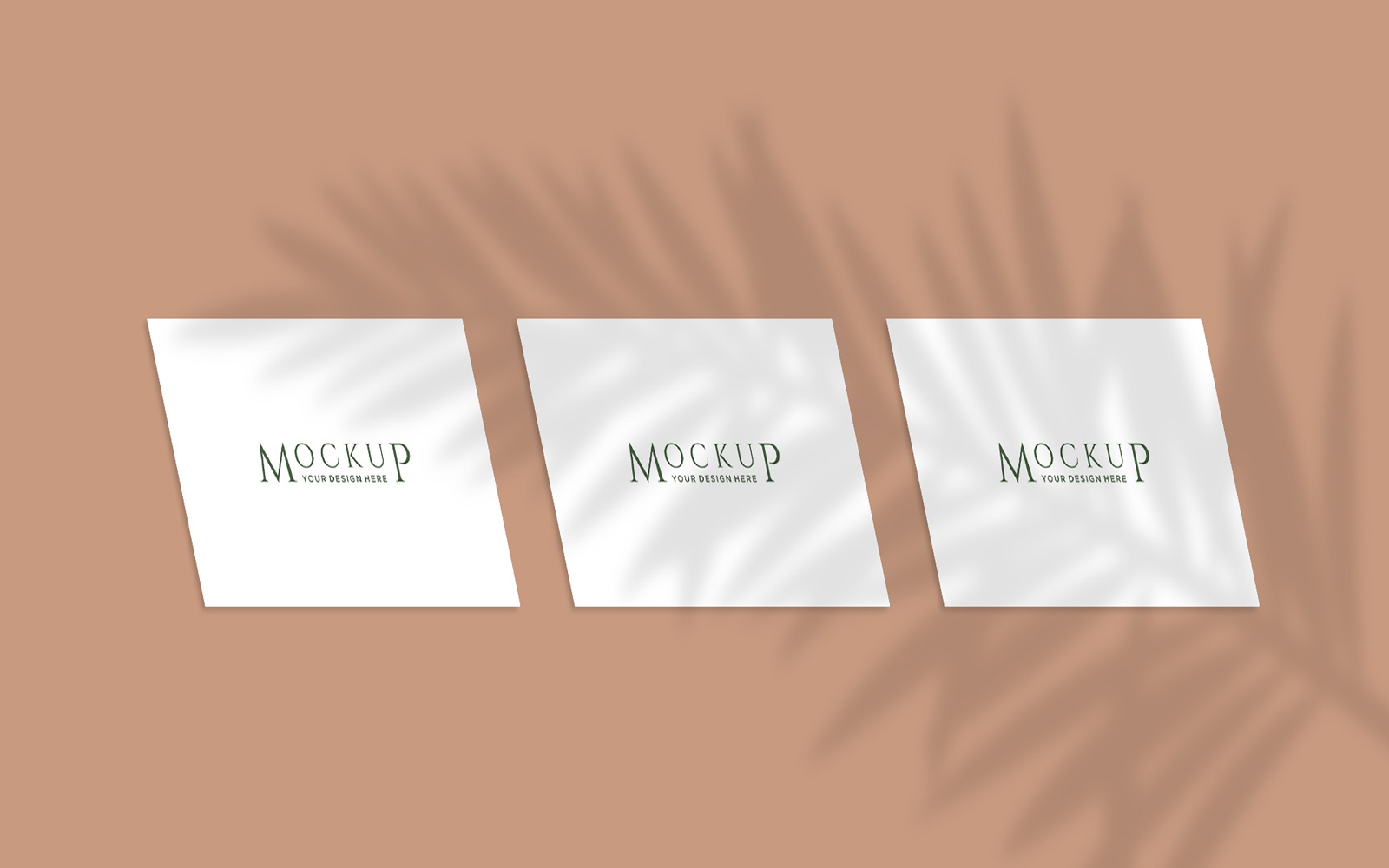 Product Mockups