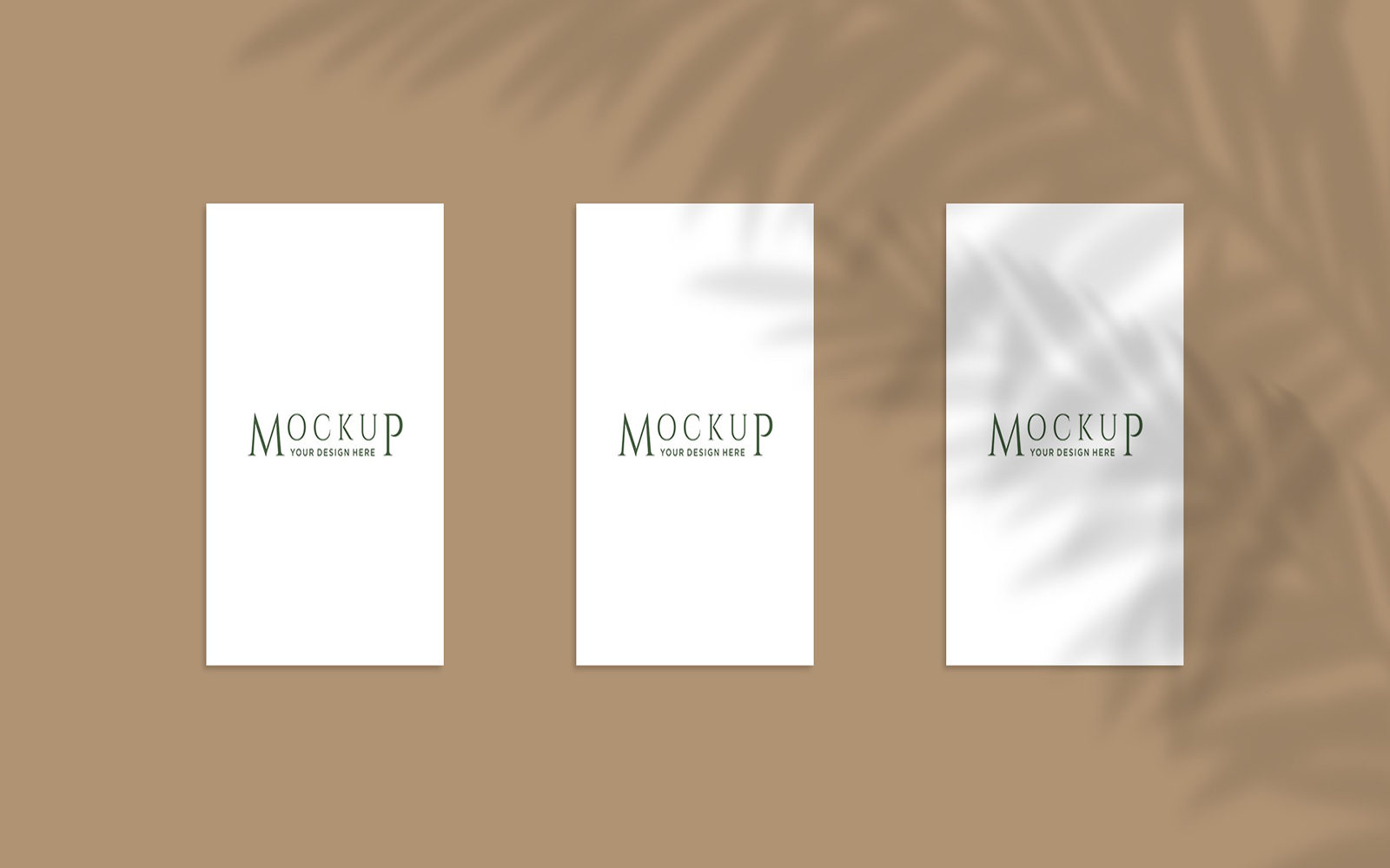 Product Mockups