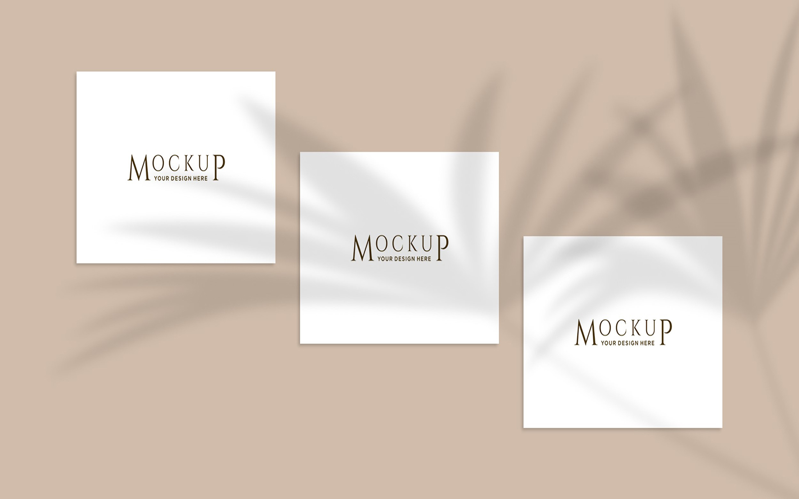 Product Mockups