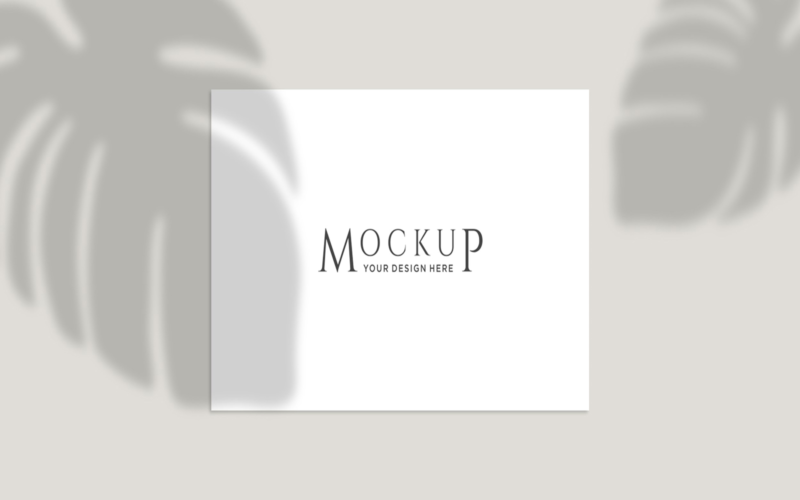 Product Mockups