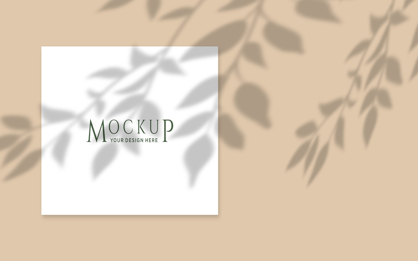 Product Mockups