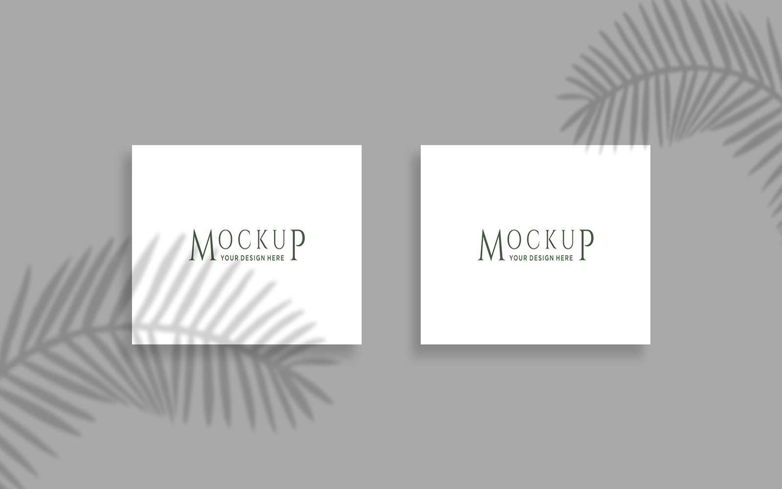 Product Mockups