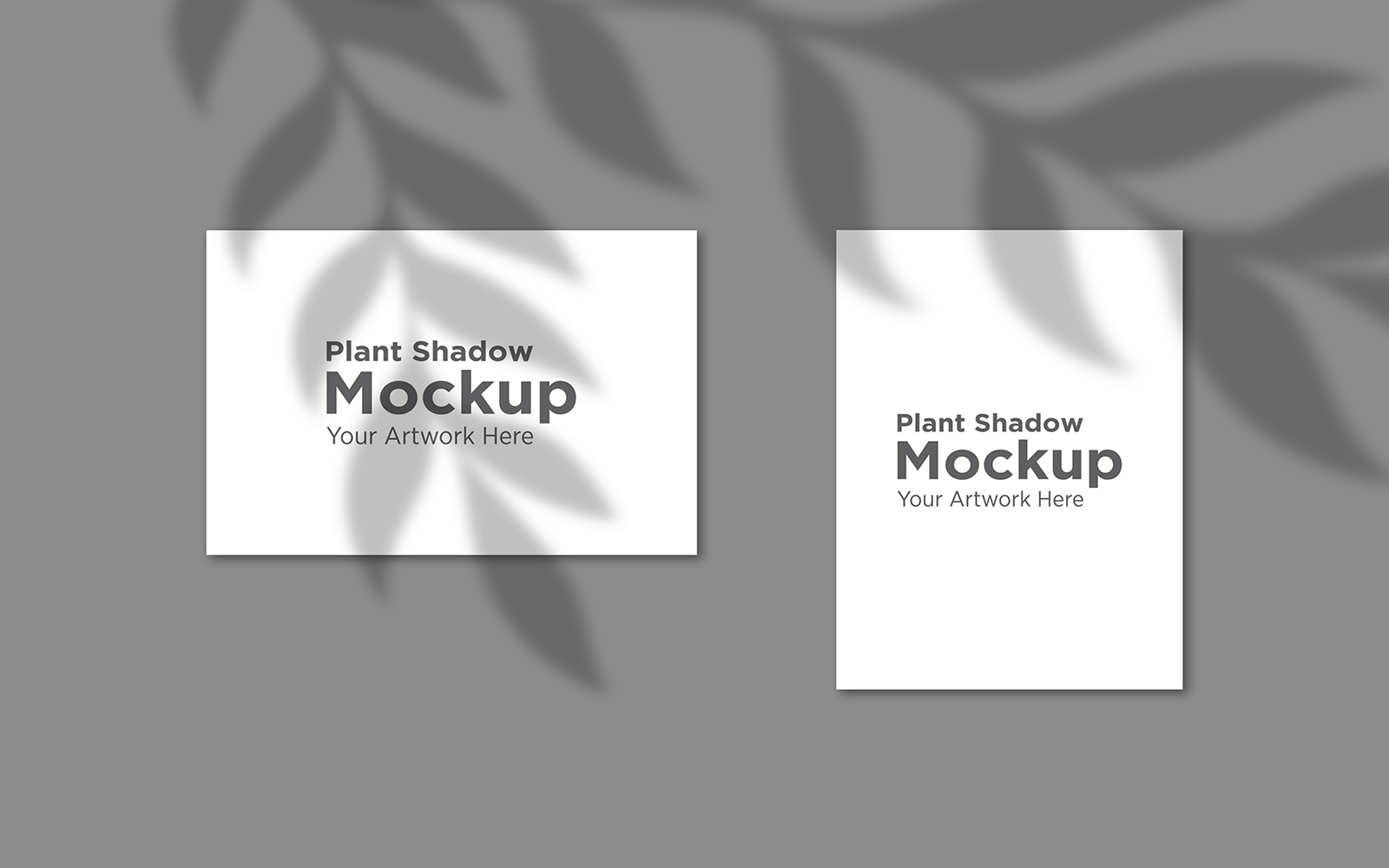 Product Mockups