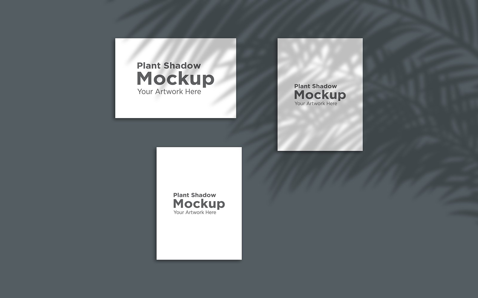 Product Mockups