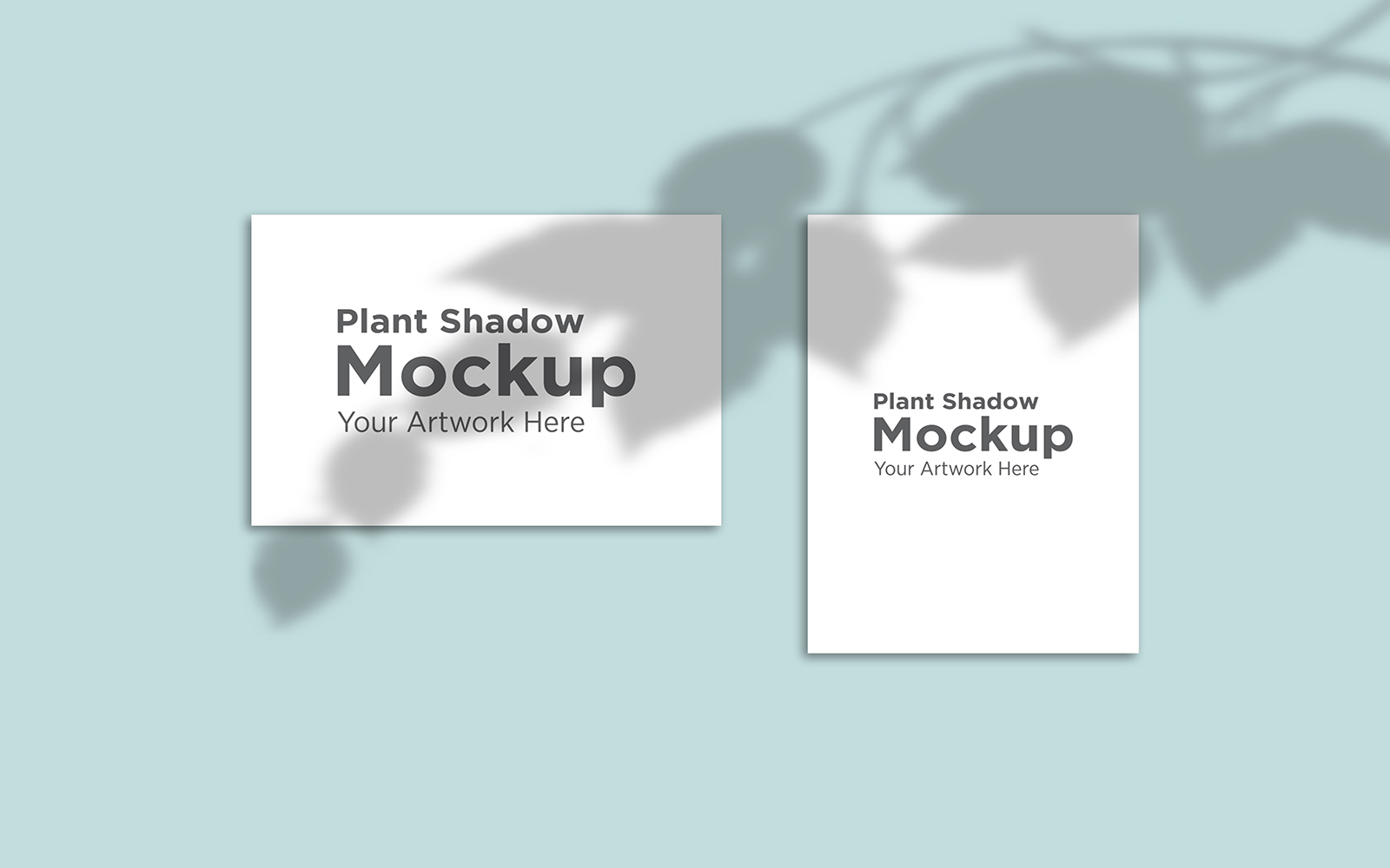 Product Mockups