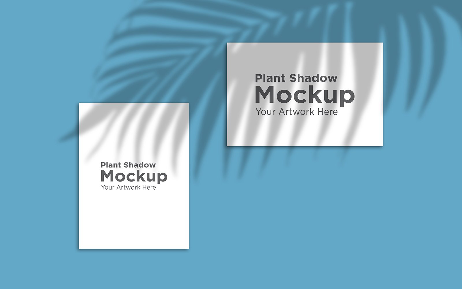 Product Mockups